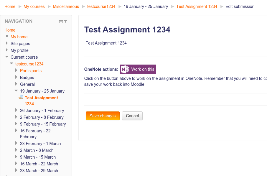 OneNote submissions
